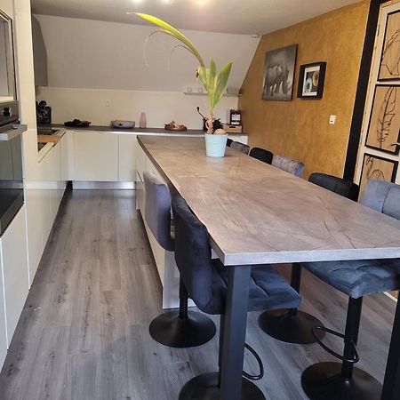 Spend'or, 4 étoiles, gîtes de 100m2 Dorlisheim Extérieur photo